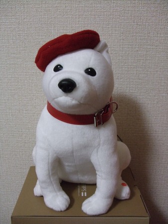 DSCF3173.JPG