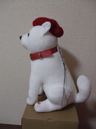 DSCF3174.JPG