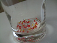 DSCF9055.JPG