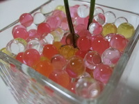 DSCF9062.JPG
