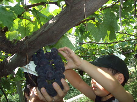 DSCF4693.JPG