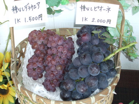 DSCF4699.JPG