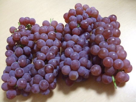 DSCF4731.JPG