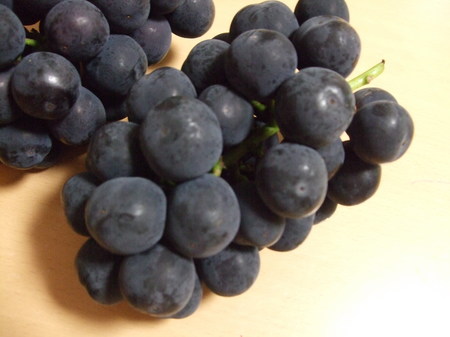 DSCF4733.JPG