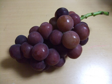 DSCF4738.JPG