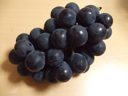 DSCF4739.JPG